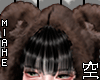 空 Bear Scarf 空