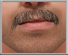 Moustache Brown V2
