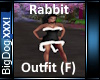 [BD]RabbitOutfit (F)