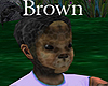 Furry Toddler Brown F