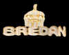 Bredan Chain