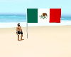 Bandera *Mexico*