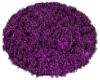 purple haze rug