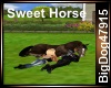 [BD] Sweet Horse