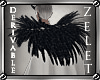 |LZ|Derivable Cloak