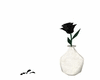 black rose & vase 