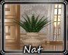 NT Unchained Planter