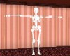 Skeleton_standing---