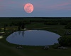 !FullMoon Farm Night