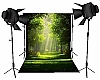 Forest Photo Background