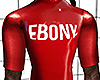 Q / (m) EBONY - V1 /