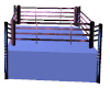 MD Boxing Ring