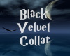 Black Velvet Collar