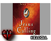 ^k^ Jesus Calling Book