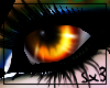 ![Sx3] Gold Eyes