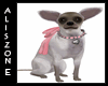 [AZ] Chihuahua puupy/pet