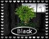 [my]Black Deco Plant