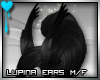 D~Lupina Ears: Black