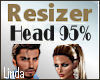 Resizer Head 95 %