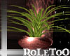 (LR)::RoLeToO::plantsss