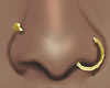 вя. Gold Nose Piercing