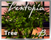 *B* Zentopia Bamboo Tree