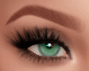 Fades Rooibos Brows