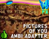 BFX Pictures of you