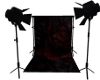 Red Rose Photo Backdrop