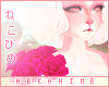 [HIME] Sakura Rose R