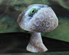 #15 Mushroom,Coral Reef
