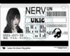 :kirei