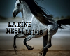 La Fine Nesli lf1-18