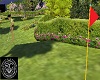 [S.C] Golf