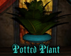 [BM] Potted Plant