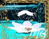 Beds Flower (MP)