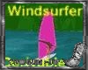 WindSurfer