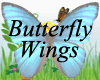 Beautiful Butterfly Wing