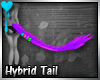 D~Hybrid Tail:Purple M/F