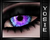 ~Y~Violet Eyes |F