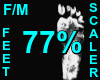 77% Feet Scaler F/M
