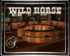 (SL) WILD HORSE Saloon