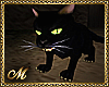 :mo: WITCH'S SCARY CAT