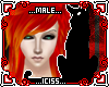 Drache Hair V1 (M)