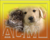[ACM] Baby Dog Cat