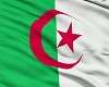 Algerie Trigged Flag