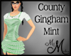 MM~ Country Gingham Mint