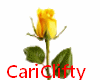 CC - ROSA YELLOW