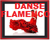 Dance Flamenco