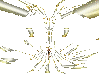 Light Or